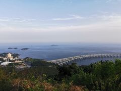 -星海湾跨海大桥