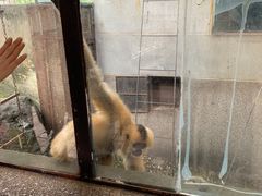 -昆明动物园
