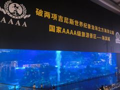 -成都浩海立方海洋公园