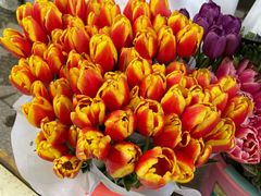 -循礼门鲜花花市(武汉循礼门店)