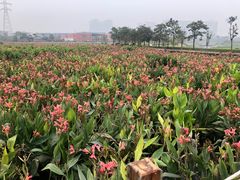-那考河湿地公园