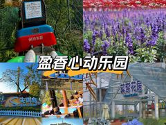 -盈香心动乐园
