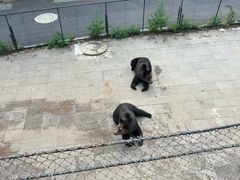 -大连森林动物园