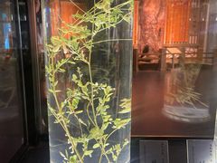 -广东中医药博物馆