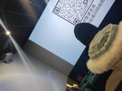 -大地院线珠江摩尔店(CL全景超级影院)
