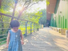 -西湖风景区-江洋畈生态公园