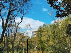 -中国浦东干部学院