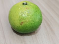 -河南牧业经济学院(龙子湖校区)