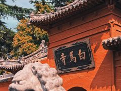 -洛阳白马寺