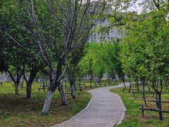 -东北大学(南湖校区)