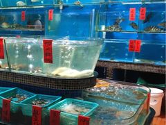 -海大大蒸汽海鲜餐厅·粤菜·特色小炒(欢乐颂店)