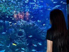 -成都浩海立方海洋公园