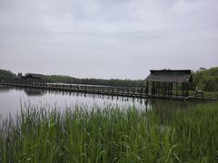 -溱湖国家湿地公园