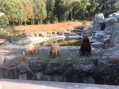 -宁波野生动物园