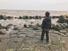 -南汇嘴观海公园