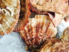 -渡海小渔村.老辈日照菜