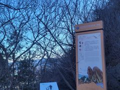 -北京鹫峰国家森林公园