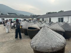 -苏州市吴中区光福窑上花果蜜饯厂