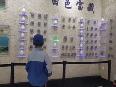 -青藏高原自然博物馆
