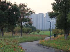 -洋湖国家湿地公园