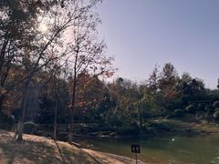 -桃花岭景区