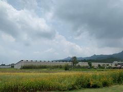 -禾悦庄餐厅