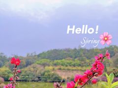 -南国桃园旅游度假区