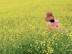 -呼伦贝尔大草原