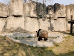 -上海野生动物园