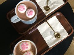 猫爪可可-黑胶星球(华发中城商都店)