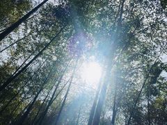 -黄公望隐居地