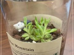 -Fridi Patisserie Cafe