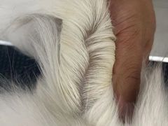 -comecome来吧宠物(奥克斯中心店)