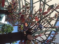 iphone_upload_pic-星光糖果屋