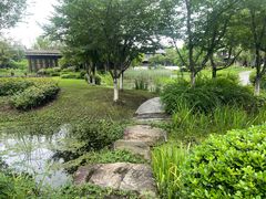 -西山漾湿地公园