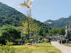 -千岛湖石林