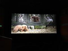 -天幕新彩云国际影城(激光巨幕店)