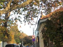 -赵家牛肉砂锅(台西三路店)