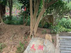 -广州市帽峰山景区