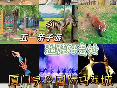 -灵玲国际马戏城
