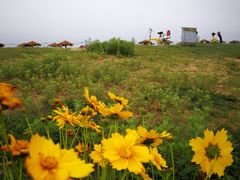 -青岛银沙滩