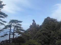 -菜当家