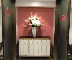 -云南吴氏嘉美医疗美容医院