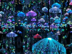 -深圳独角兽星空艺术馆