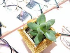 -肆兮眼镜·蔡司·徕卡战略合作店(大坪店)