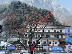 -秦岭天竺山生态文化旅游景区