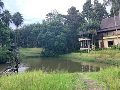 -四季酒店下午茶