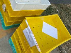-中粮丰通（北京)食品有限公司
