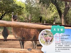 -青藏高原野生动物园