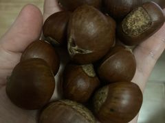 -阿男野栗王(金门路店)